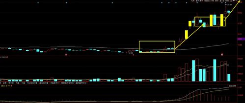 A股大尋寶 四只具備“飛天”潛力、散戶忽略卻獲資金悄然關注的標的